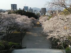 西公園の高台からの福岡市内