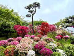 その後、
江戸川区南葛西の、なぎさ公園へ。