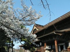 善光寺境内も桜に春の花も咲いてます
本堂にお参りして戻る人が多いいですが、本堂回りの庭園もお勧めです