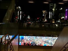 姫路駅北口から、まっすぐに延びる大手前通りの先に、小さくだけどライトアップされた姫路城が見えました。

