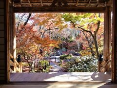 ２宝筐院「京都遅めの紅葉で混雑回避3」↑↓