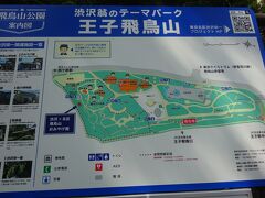 飛鳥山公園（明治６年、日本で最初の公園に指定された。渋沢栄一の別荘もあります。）