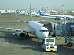 早朝、07:45羽田発のソラシド航空で、いざ鹿児島空港へ・・・！

この往路便と今晩泊まる高級旅館、そして翌日の宿まで、実は息子がプレゼントしてくれて、息子家族と同行の予定でした。
ところが、なんと前々日に彼のコロナ陽性が判明！！！
ショック！！！
その後のスケジュールは、手配済みでしたので、仕方なく私たち夫婦だけで始まった九州旅行となりました。
