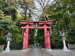 10時頃、2400年の歴史を有する弥彦神社に到着。
一の鳥居をくぐります。
前回も訪れたことがあったので、お参りしてから、御朱印を頂きました。
