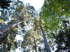 ツアーは次のスポット「雲興寺」へ