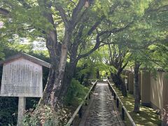 チェックアウトをして
緩やかな坂道を北へ15分。『光悦寺』