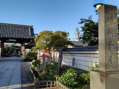 翌日は晴天。龍華寺へぼたんと華道展を観に行く。