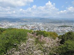五台山公園（高知県高知市五台山）

頂上付近に駐車場があるし、サクラやツツジなど四季折々の花を楽しめます。予想以上に遠くまで見晴らせました。
