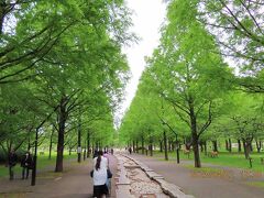 都内ってビルばっかってイメージありますが、結構緑が多くて、広大な公園が意外に多い。