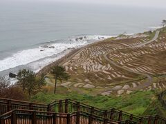 次は
有名観光地
白米千枚田です
う～ん、天気も季節も良くないのか
おもしろくな～～い
水は濁ってるし、色悪いし
いちおう、「来ました写真」だけ撮っとこか