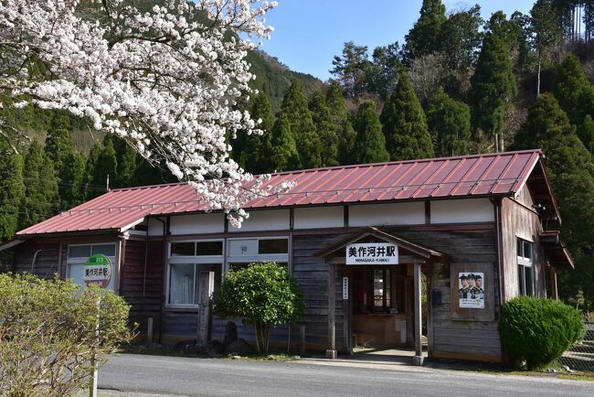 昭和を思い出す因美線美作河井駅の春2021～桜に囲まれた古い駅舎