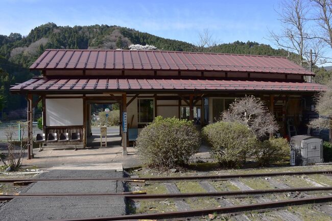 昭和を思い出す因美線美作河井駅の春2021～桜に囲まれた古い駅舎