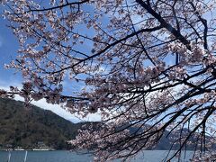 さて中禅寺湖には桜が。