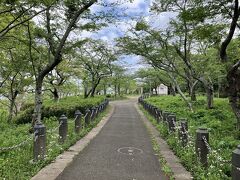 展望台から下っていくと、自然豊かな衣笠山公園が広がっています。