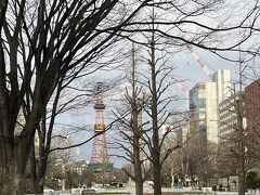 テレビ塔見ると、札幌きたな！って思います。