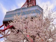 テレビ塔の下から地上へ。

3日前の4/21に満開となった桜はまだまだ元気。