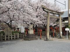 【六孫王神社】
　六孫王神社は社殿も趣深く、桜にも勢いが感じられる良い場所です。東寺から徒歩で数分です。