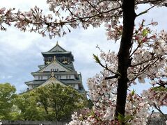 【ついでに大阪城】
　今回は件数は少なかったですが神社やお寺の桜を十分堪能したので、お城の桜が見たくなりました。お城しかも天守閣と桜。行くついでもあったので大阪城に寄りました。