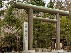 混むのが嫌なので、週末明け乃月曜日に北海道神宮の桜と梅を見てきました。
