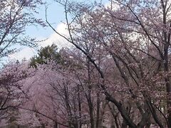 円山動物園