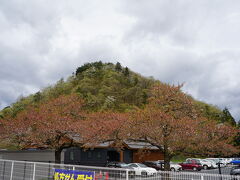 時刻は9時くらい。
まだ早いので天童市内をレンタカーでくるり～

人間将棋は、こちらの舞鶴山で開催されます。