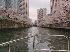 目黒の桜をクルーズ船より見ます。
モノレールで天王洲まで移動しピア桟橋へ。
東京ウォータウェイズ の目黒川お花見クルーズ70分です。

