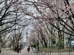 地下鉄東西線で、大通公園まで来ました。

遠くに、さっぽろテレビ塔が見えます。
大通公園には欠かせない風景ですね。