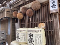 伊勢　糀ぷりん本舗の向かいの店舗、
お酒の白鷹さんの酒樽にかわいい野良猫が⍢⃝♡
こちらの猫ちゃんはよくこの場所で休憩しているようです♪

いる場所が映えるからか、伊勢だからかとても縁起が良さそうです。