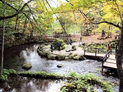 水を中心とした美しい「京極ふきだし公園」の景色