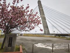 食事後はまんがロードへ
ひみ番屋街から歩いて５分ほど
写真は比美乃江大橋