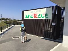 11：56「あわじ花さじき」に到着。入場無料、東浦ターミナルパークから約１５分で到着。駐車料金は２００円だそうだが、日曜日とあって混んでいた。路線バスは気楽だ。