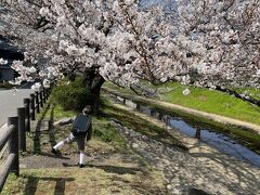 一昨年から桜を見に来るようになった江川せせらぎ緑道。
ワンちゃんの写真を撮りに来ている人がたくさんいる中にランドセルの子がいたのを見て、今年は是非！とやってきました。
