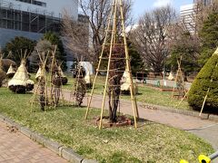 【北海道庁】

この時期はちょうど冬から春に移行する時期
木々の雪囲い！？←雪囲いでいいんだっけ？(^^♪
木々につけている傘を外す作業をいたるところで職人さんがやっていました。

なんか帽子みたいにすごくかわいらしい感じに