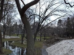 北海道大学