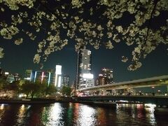 大川沿いへ出てみると…うわー。