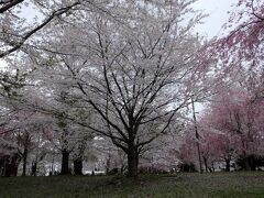 晴れてなくとも綺麗~~~~