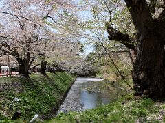 弘前公園 (弘前城)