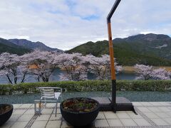 桜の花とダム湖が素敵な風景でした。
