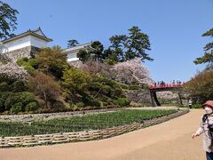 主人の希望で小田原城に来ました。
なんと、主人は初めて来たとのことです。