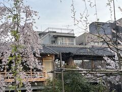 その後八坂神社も行ったんだけど
物凄い人人人でうんざり
その上「満開」という情報だけど
もう半端なく散っている
写真も撮らず退散