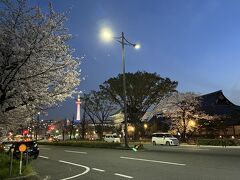 春の宵
京都駅まで歩く

今年の桜は開花宣言してから雨が多かったから
いまいち
