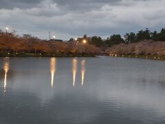 弘前城西濠と桜のトンネル