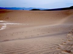 メスキートフラット砂丘 Mesquite Flat Sand Dunesはサラサラの美しい砂漠。