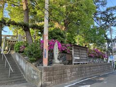 海上がり
まったりし
江ノ電鵠沼まで歩く
駅すぐ賀来神社に咲く