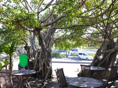 さて、ちょっと腹ごしらえ
竹ネイチャーアカデミーのある
ハートロックカフェへ
ガジュマロの木の下で