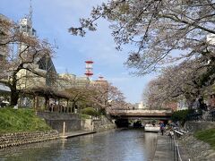 舟下りができる松川。
こちらは落花盛んな状態なのでスルー。