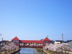 スペインの建築家、セザールポルテラ氏がデザインした
歩行者専用の橋です。
ベンガラの赤と桜のピンクと運河と空の青、カラフルな春の光景。