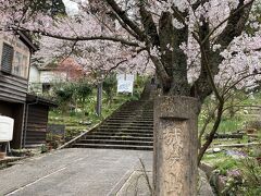 城ヶ山のメインの入口は桜並木になってます。
こっちから登ったほうがきっとワクワクしましたね。