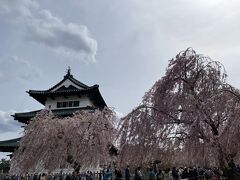 弘前城に到着しました。

こちらは見事な枝垂れ桜が迎えてくれました。