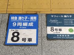 夕方からは指定３回目　特急湘南で新宿～小田原。
こちらも乗車位置はシールで分かるようになっています。

貨物線で横浜羽沢を通る面白ルートの列車です。
横浜羽沢までは、今はＪＲ相鉄直通で何時でも通れますけどね。

特急湘南の列車ごとの経路は↓特急湘南のリンクのクチコミに書いて有ります。

小田原到着時、私以外見える範囲には誰も居ませんでしたｗ
まあ新宿～小田原ったら小田急ですからねｗ